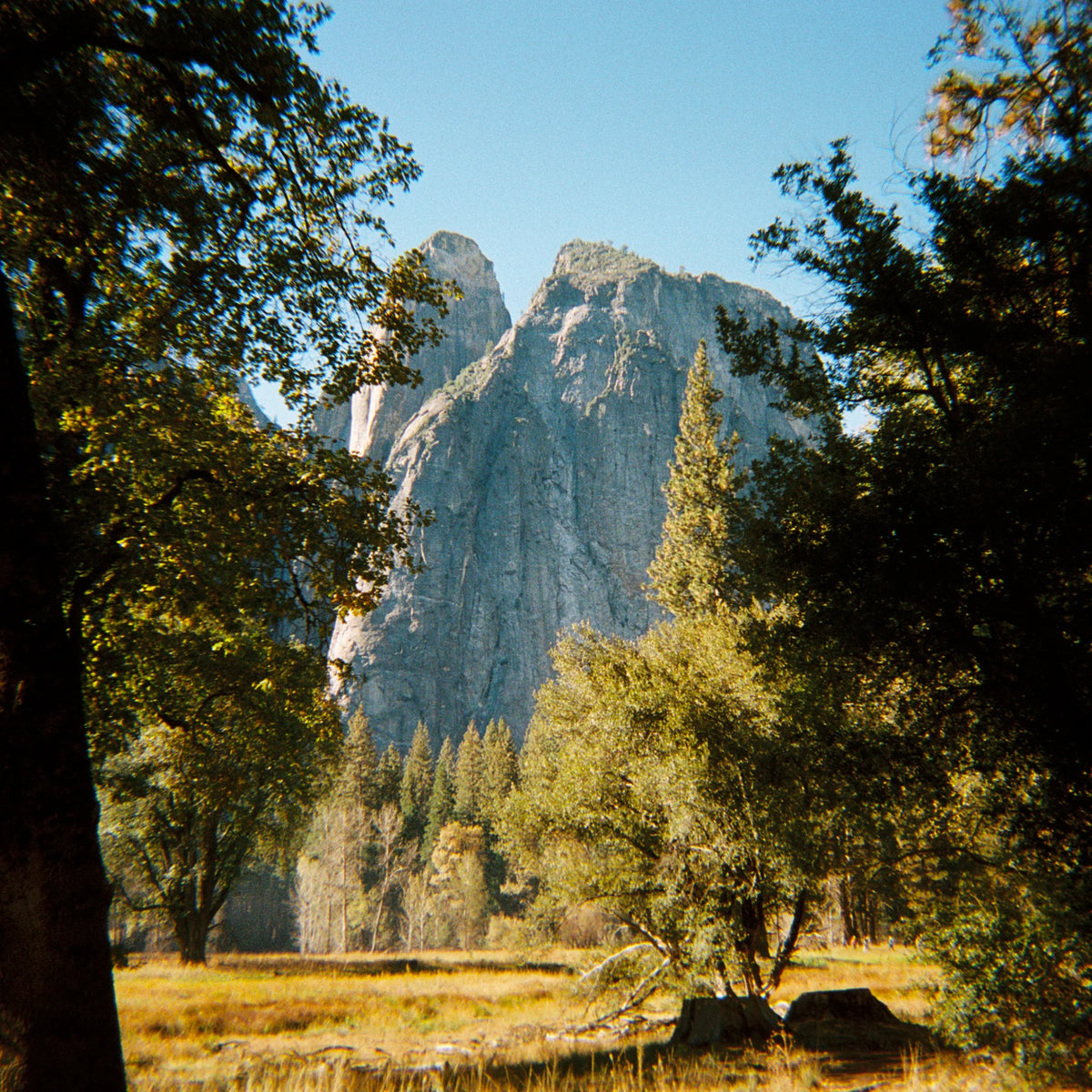 Scenic view of a mountain with trees in the foreground

Long Weekend 35mm Reusable Film Camera Analog